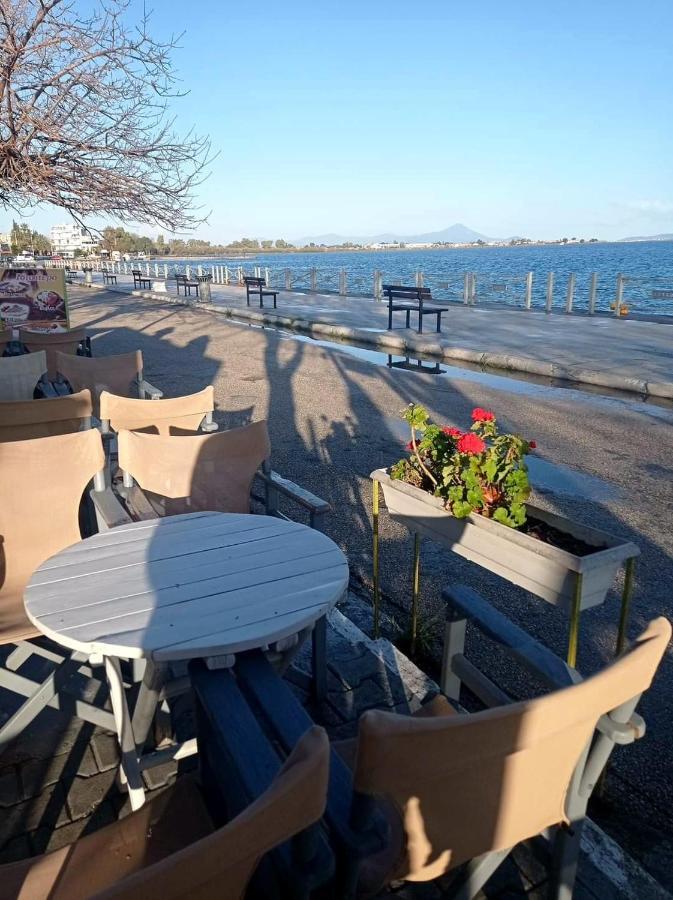Bright Apartment In Nea Palatia • Oropos Exteriör bild
